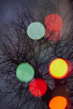 abstract tree background  with blured street  lights and double exposure