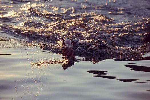 triathlon athlete swimming on beautiful morning sunrise training in lake wearing wetsuit concept of strength and endurance