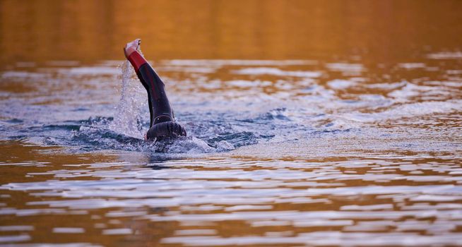 triathlon athlete swimming on beautiful morning sunrise training in lake wearing wetsuit concept of strength and endurance