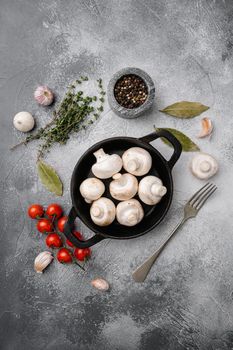 Champignons set, on gray stone table background, top view flat lay, with copy space for text