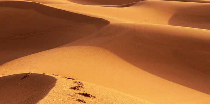 Scenic  sand dunes in Sahara Desert