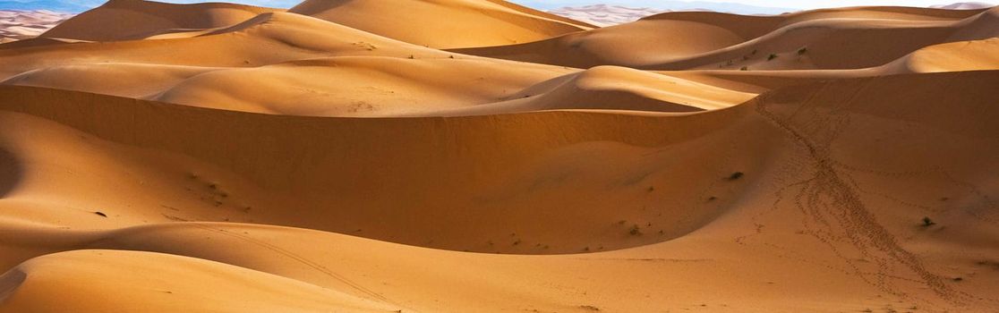 A Beautiful Sahara Desert pictures