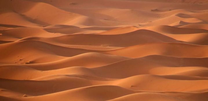 A Beautiful Sahara Desert pictures