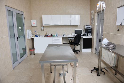 animal and pet surgery hospital room indoor with tools and instruments