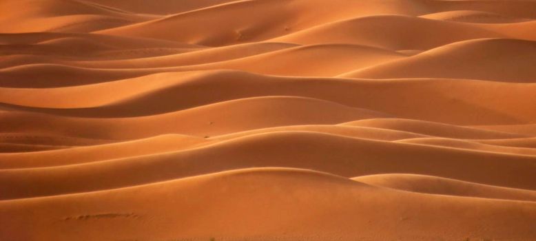 Patterns in the sand of the Sahara Desert