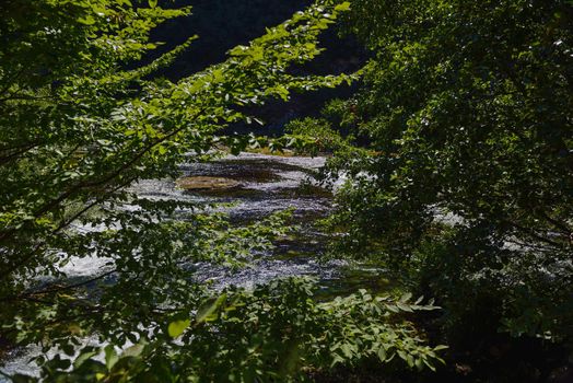 waterfall on wild river with fresh drinking water in summer