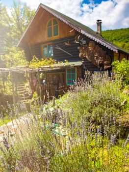 luxury family wooden  cotage house in forest with garden and colorful herbs