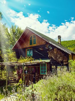 luxury family wooden  cotage house in forest with garden and colorful herbs