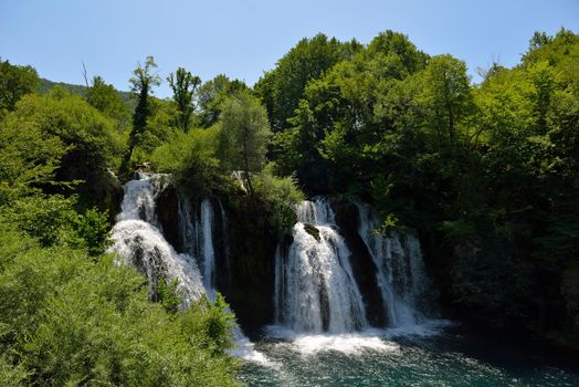 waterfall with clean and fresh water  nature with green forest in background