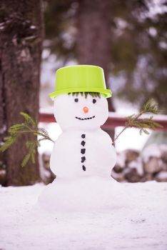 Happy smiling snowman with green hat and carrot nose standing in winter forest