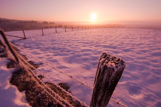 winter landscape scenic   fresh snow  against purple violet  sky with long shadows on beautiful fresh morning