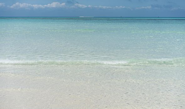 Beautiful tropical white sand beach and sea