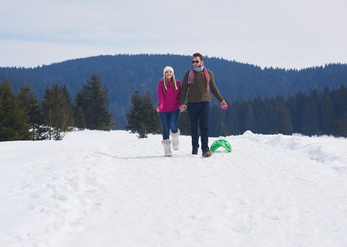 romantic winter  scene, happy young couple having fun on fresh show on winter vacatio, mountain nature landscape