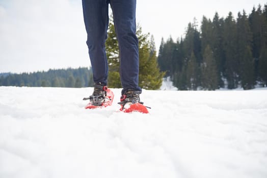 happy young  couple having fun and walking in snow shoes outdoor in nature at beautiful winter day. Health sport and relaxation