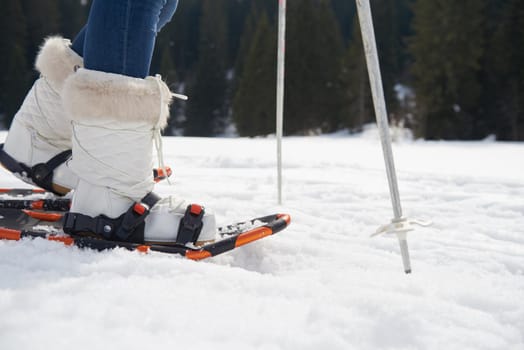 happy young  couple having fun and walking in snow shoes outdoor in nature at beautiful winter day. Health sport and relaxation