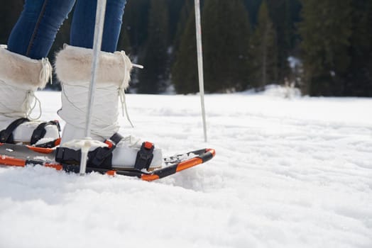 happy young  couple having fun and walking in snow shoes outdoor in nature at beautiful winter day. Health sport and relaxation