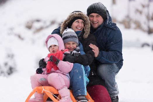 happy young family portrait on winter vacation while sitting sledge at  landscape with fresh falling snow