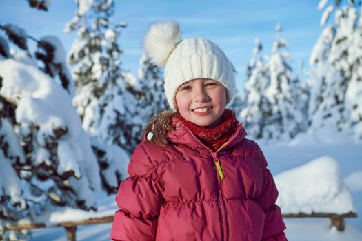 portrait of cute little girl   on beautiful winter day with fresh snow