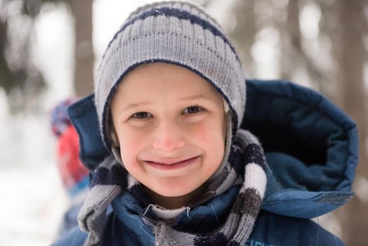 portrait of happy smiling little boy child outdoors having fun and playing on snowy winter day