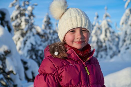 portrait of cute little girl   on beautiful winter day with fresh snow