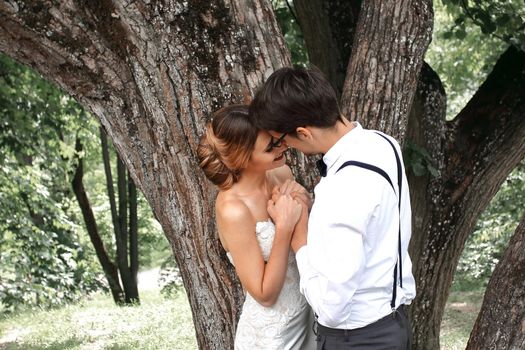 happy newlyweds kiss near a large spreading tree. romantic moment