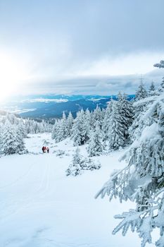 Cold winter nature covered with snow view from mountain hill