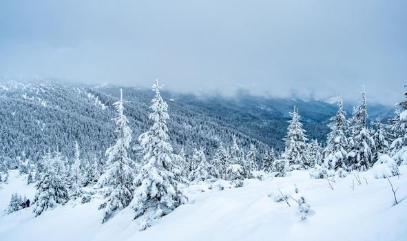 Mountain landscape with frozen pine wood under deep snow