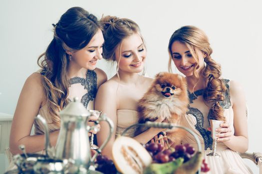 close up. the bride with her friends and beloved pet during the bachelorette party