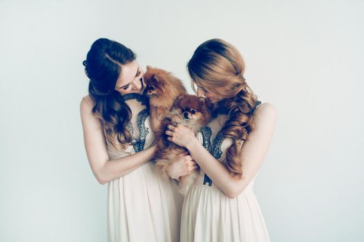 two beautiful Spitz in the hands of cute girls. wedding for dogs