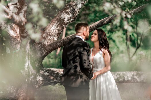 happy bride and groom standing near old big tree. holidays and events