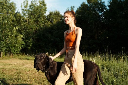 woman in the field in summer playing with a dog friendship. High quality photo