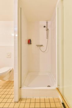 Modern shower stall in a bright bathroom