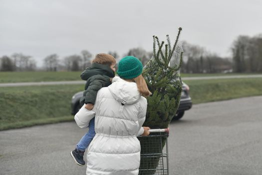 Mother bought a Christmas tree at the market