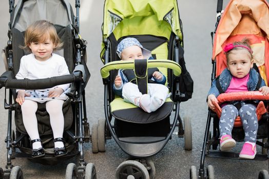 beautiful babies sitting in a stroller in the park