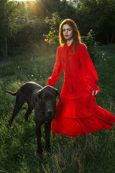 woman in a red dress in a field with a black dog Friendship fun. High quality photo