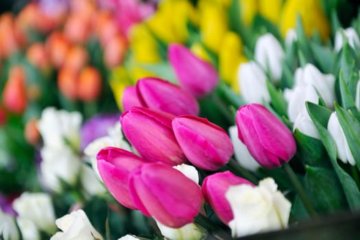 beautiful fresh flowers closeup background outdoor