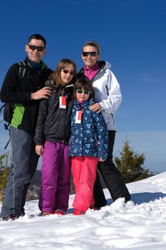 portrait of happy young family at beautiful winter sunny day with blue sky and snow in background