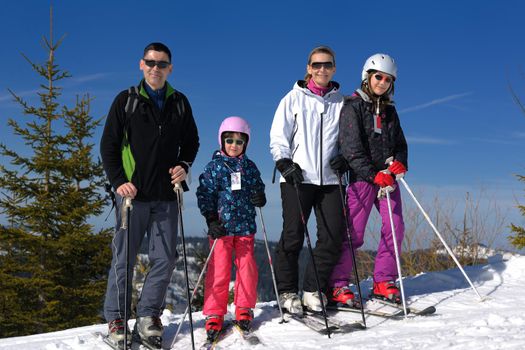 portrait of happy young family at beautiful winter sunny day with blue sky and snow in background