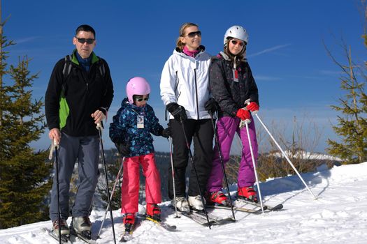 portrait of happy young family at beautiful winter sunny day with blue sky and snow in background