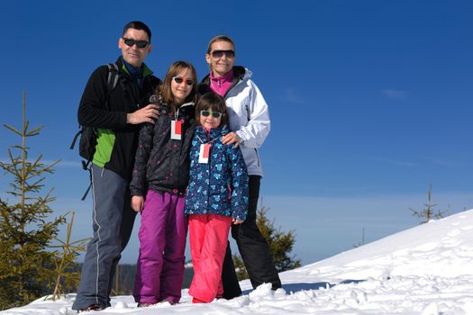 portrait of happy young family at beautiful winter sunny day with blue sky and snow in background