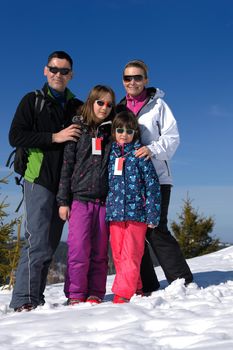 portrait of happy young family at beautiful winter sunny day with blue sky and snow in background