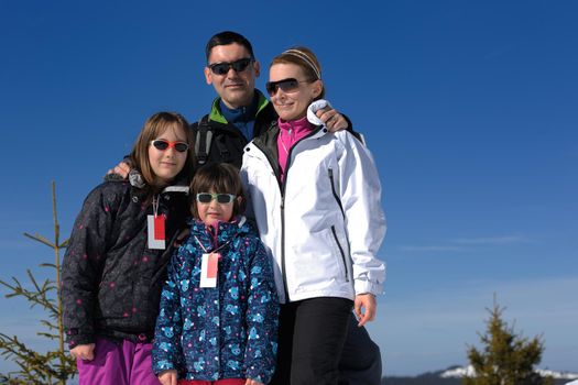 portrait of happy young family at beautiful winter sunny day with blue sky and snow in background