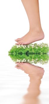 woman legs walking on small peace of green grass isolated on white representing last oasis concept