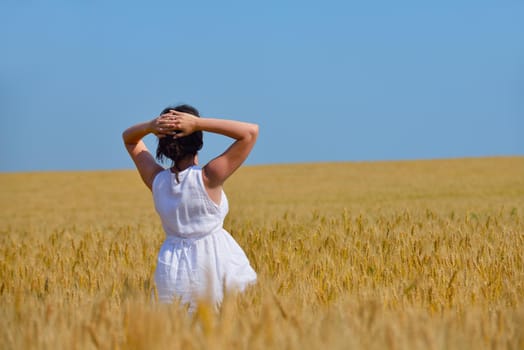 Young woman standing jumping and running  on a wheat field with blue sky the background at summer day representing healthy life and agriculture concept