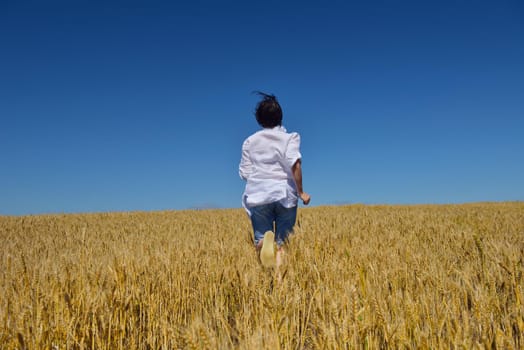 Young woman standing jumping and running  on a wheat field with blue sky the background at summer day representing healthy life and agriculture concept