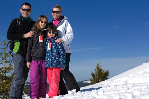 portrait of happy young family at beautiful winter sunny day with blue sky and snow in background