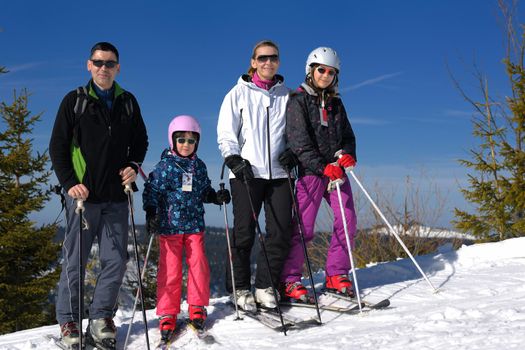 portrait of happy young family at beautiful winter sunny day with blue sky and snow in background