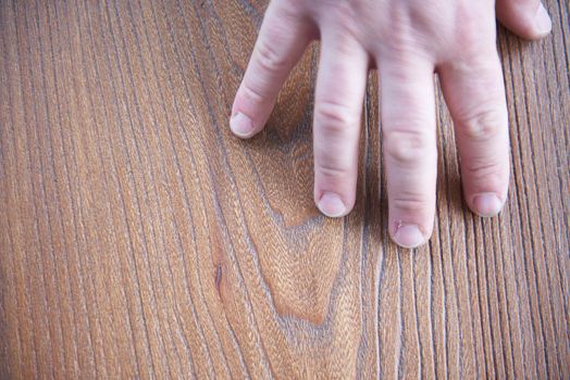 wood floor parquet shop selecting variants hands closeup