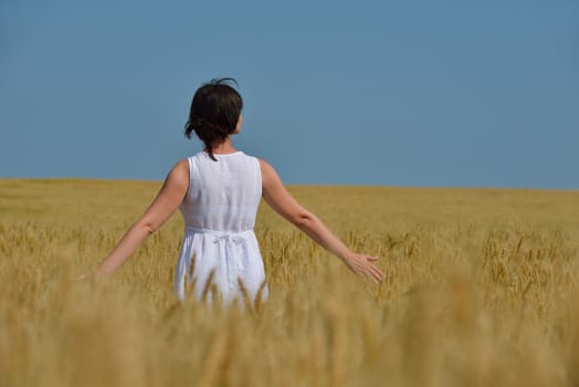 Young woman standing jumping and running  on a wheat field with blue sky the background at summer day representing healthy life and agriculture concept