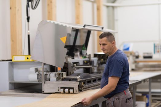 Young worker works in a factory for the production of wooden furniture